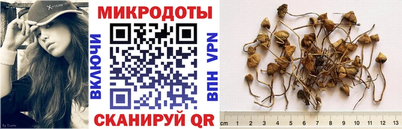 Псилоцибиновые грибы мухоморы  наркошоп  mega рабочий сайт  Орёл 